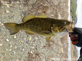 ���⡼��ޥ����Х�