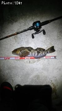 �����ʥ�