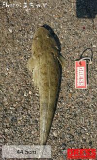 ¥¯¥Á¥Ì¥¤¥Ì¡Ú¥ß¥Ê¥ß¥Þ¥´¥Á¡Û