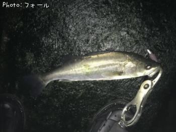 �����Х�