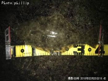 ¥Ò¥é¥á