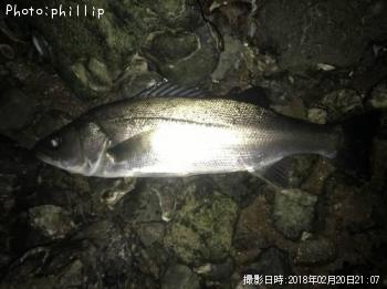 �����Х�