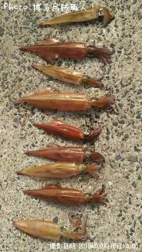 ��ꥤ�������󥵥�����