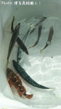 ��ꥤ�������󥵥�����