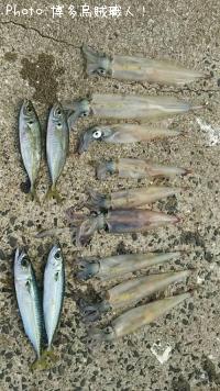 ��ꥤ�������󥵥�����