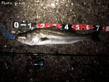 �����Х�