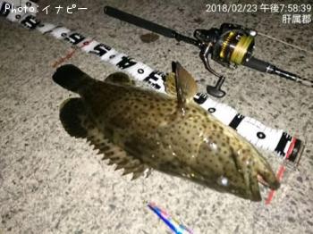 ���㥤���ޥ�ϥ�