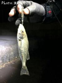 �����Х�