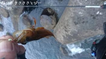 ¥¢¥¸¡õ¥¢¥Ê¥Ï¥¼