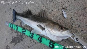 �����Х�