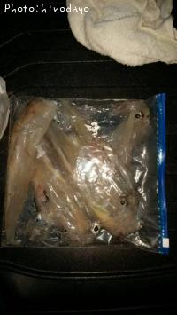 ��ꥤ������