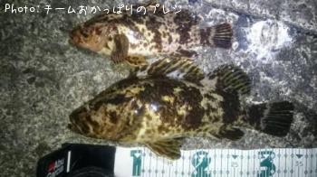 �����Υ���Х�