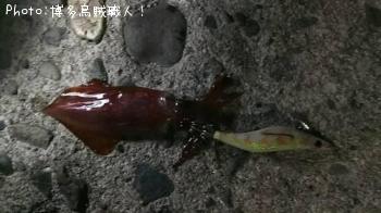 ��ꥤ�������󥵥�����