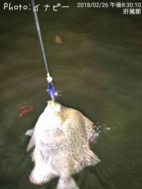 �����ۥ��ޥ󥸥奦����