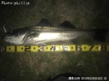 �����Х�