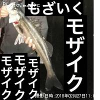 �����Х�