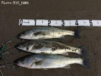 �����Х�