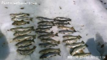 ���˥��ޥ��ʸ���������