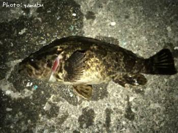 ¥¿¥±¥Î¥³¥á¥Ð¥ë