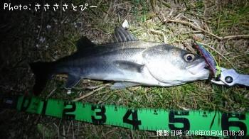 �����Х�