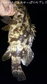 �����Υ���Х�