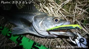 �����Х�