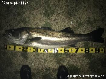 �����Х�