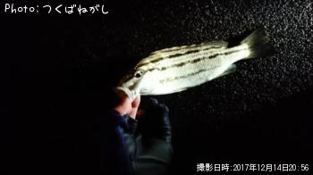 ���ޥ�����