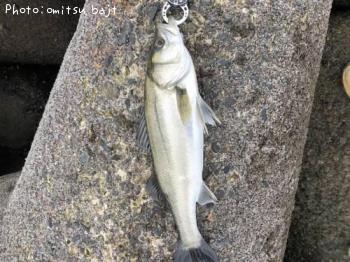 �����Х�