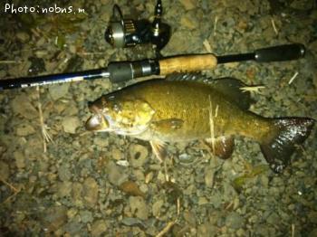 �֥�å��Х�