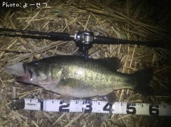 �֥�å��Х�