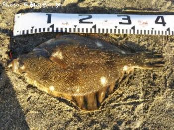 �ޥĥ��參�쥤