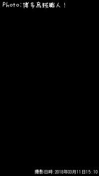 ¥¥¸¥Ï¥¿¡¢¥¢¥¸¡¢¥«¥µ¥´