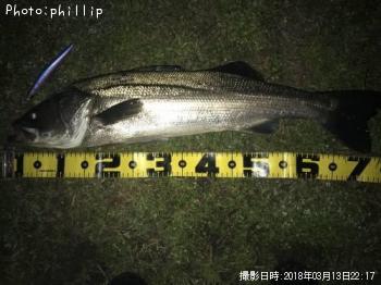 �����Х�