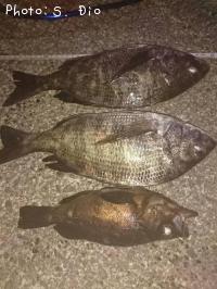 ����������Х�