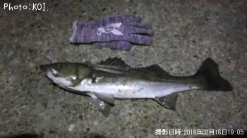 �����Х�