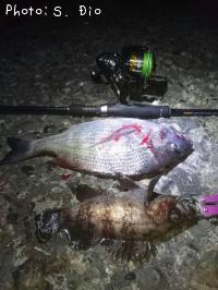 ����������Х�