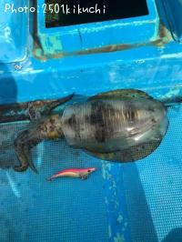 �����ꥤ��