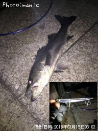 �����Х�