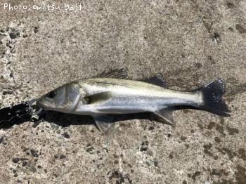 �����Х�