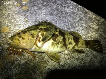 �����Υ���Х�