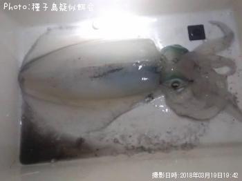 �����ꥤ��