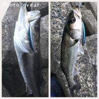 �����Х�