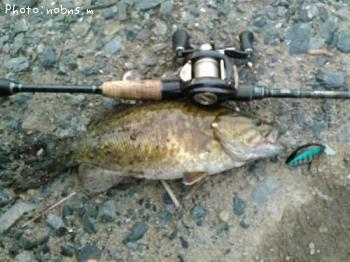 �֥�å��Х�