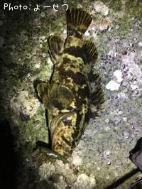 �����Υ�