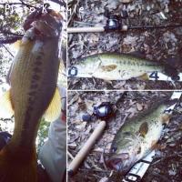 �֥�å��Х�