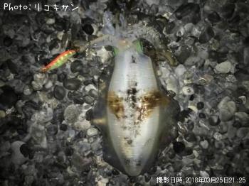 �����ꥤ��