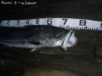 �����Х�