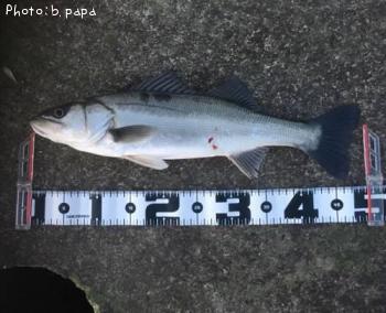 �����Х�