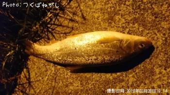 �ޥ륿������